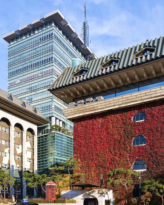 가을 캠퍼스 풍경